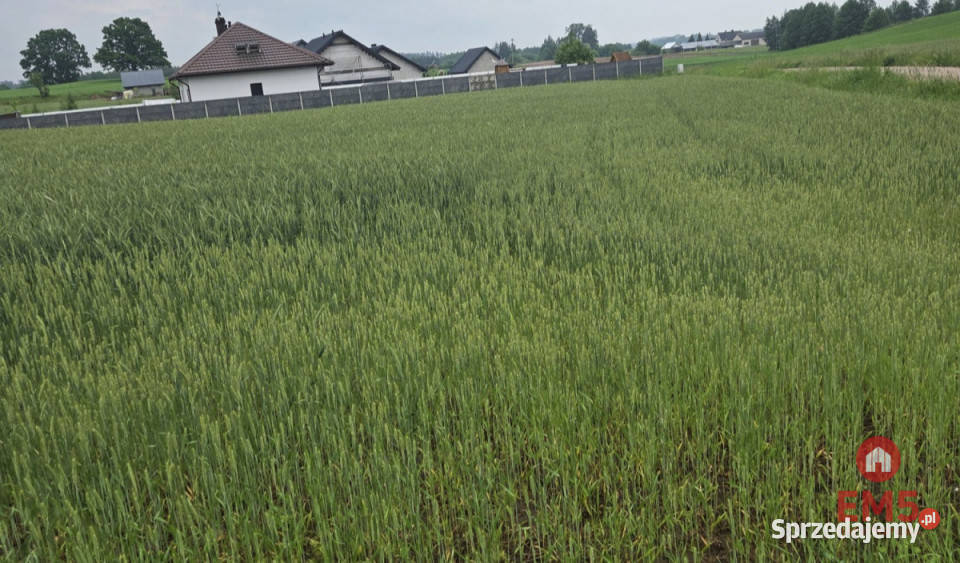 Sprzedam grunt Okuniowiec 025m2 podlaskie