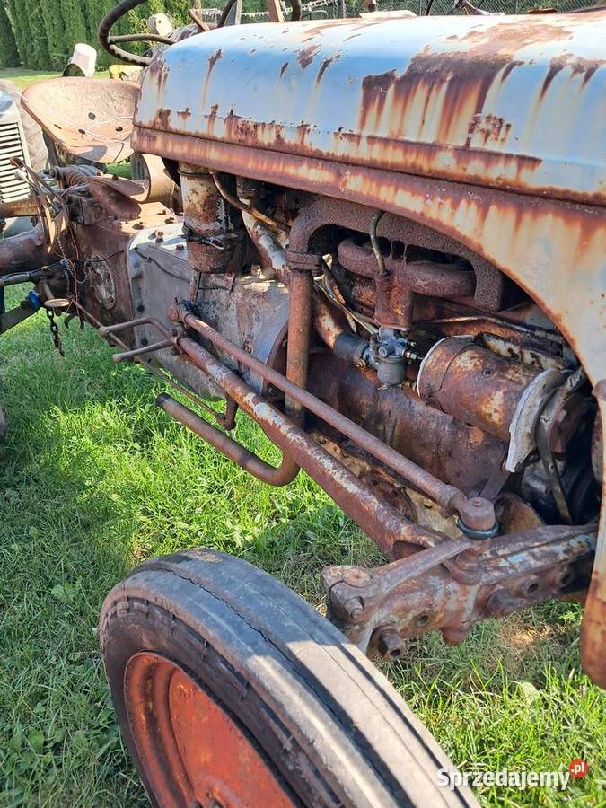Ferguson TEA 20 benzyna Gniewkowo