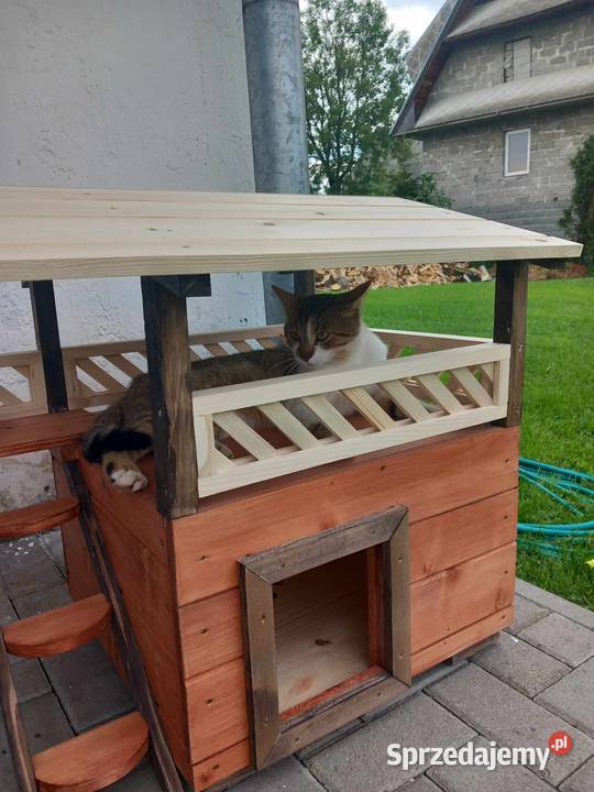 fajn y kojec kota małego pieska