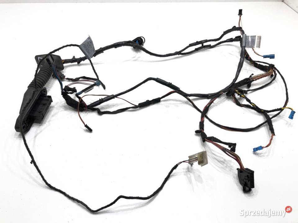 WIĄZKA DRZWI PRZÓD LEWY BMW E71 7209881 30 245