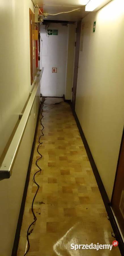 Sprzątanie biur domów domów budowie remoncie zachodniopomorskie Szczecin