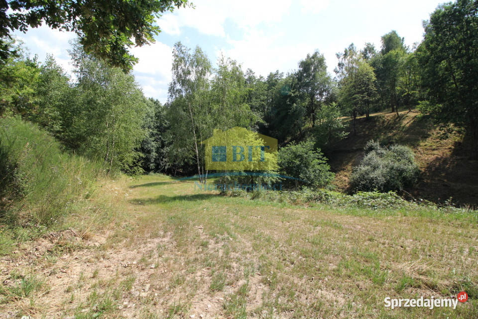 Unikatowe działki Jeziorem Komorze Nieruchomości zachodniopomorskie Czarne Wielkie