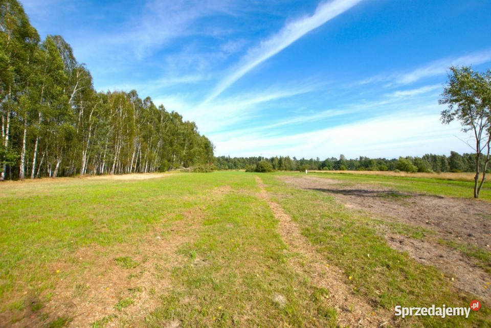 sprzedaży działki Daleszyce 1251m2 105zł/m2