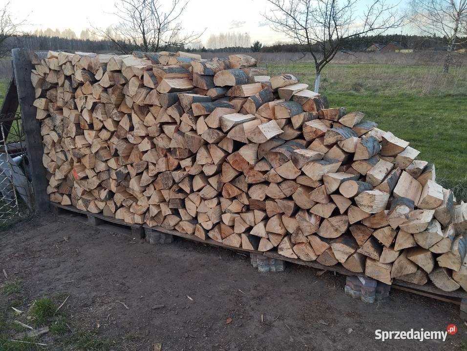 Drewno kominkowe opałowe 692805945 Dąbrowa Górnicza