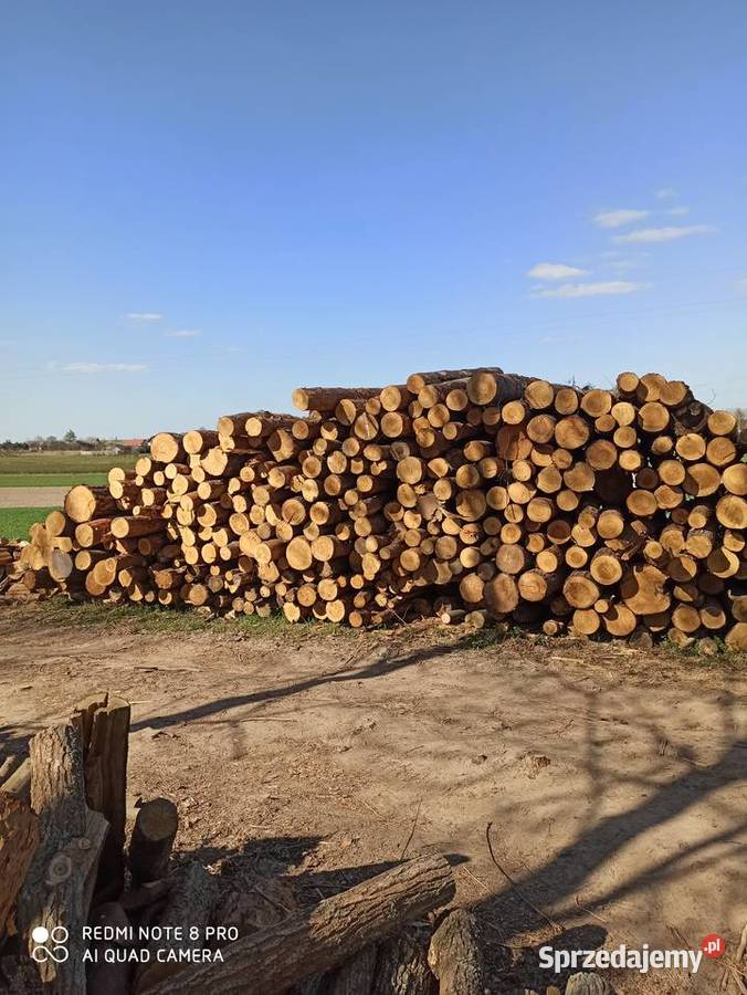 Wałki sosnowe modrzewiowe i świerkowe sprzedam