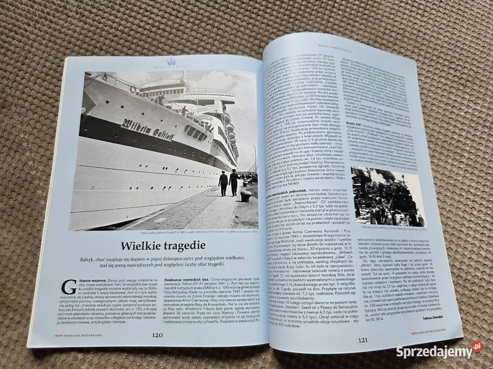 Dzieje wokół Bałtyku Polityka pomocnik sprzedam