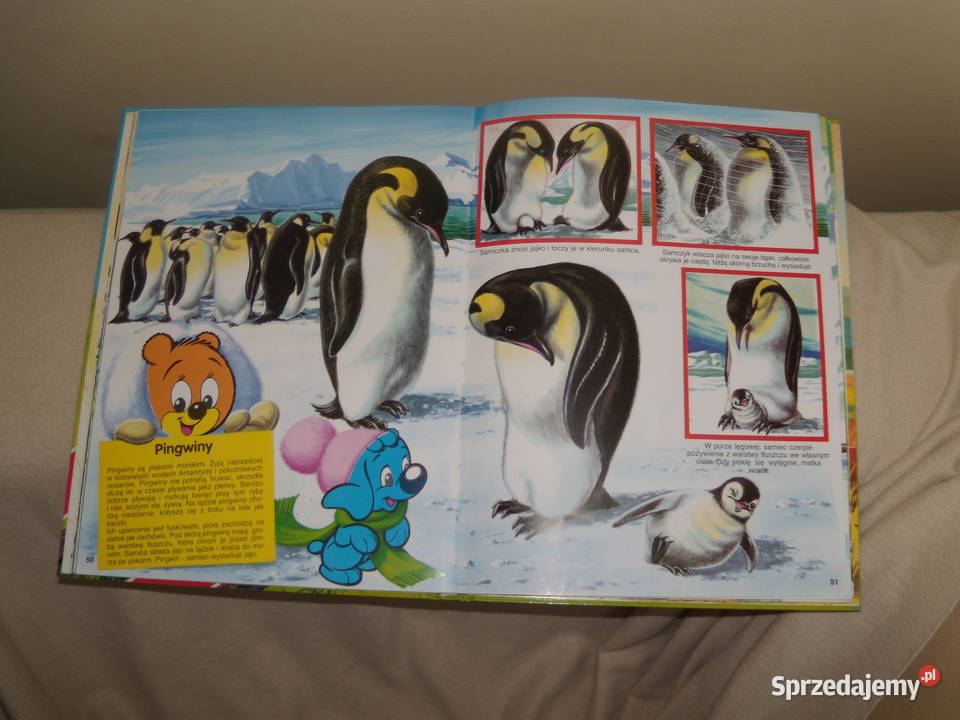 Miś Bussi przedstawia świat zwierząt