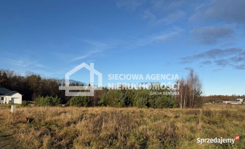 Grunt 1093 metry Skrzeszewo