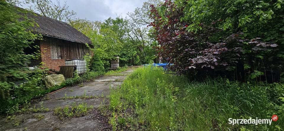 Działka zabudowana z sadem 33zł/m2