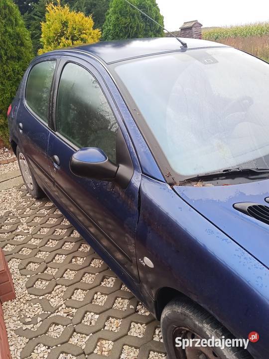 Peugot 206 na części kod lakieru EGE