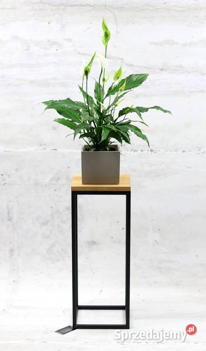 Kwietnik Metalowy Stojący Stojak na kwiaty 60 czarny Sobienie-Jeziory