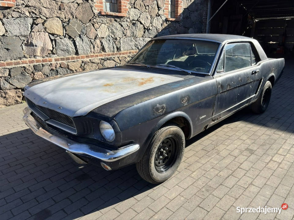 Ford Mustang Ford Mustang Coup 1965 110 Do Sulechów