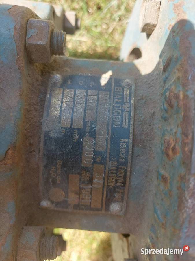 Pompy pompa wody hydroforowa apollo 230v Pompy i hydrofory Stężyca sprzedam