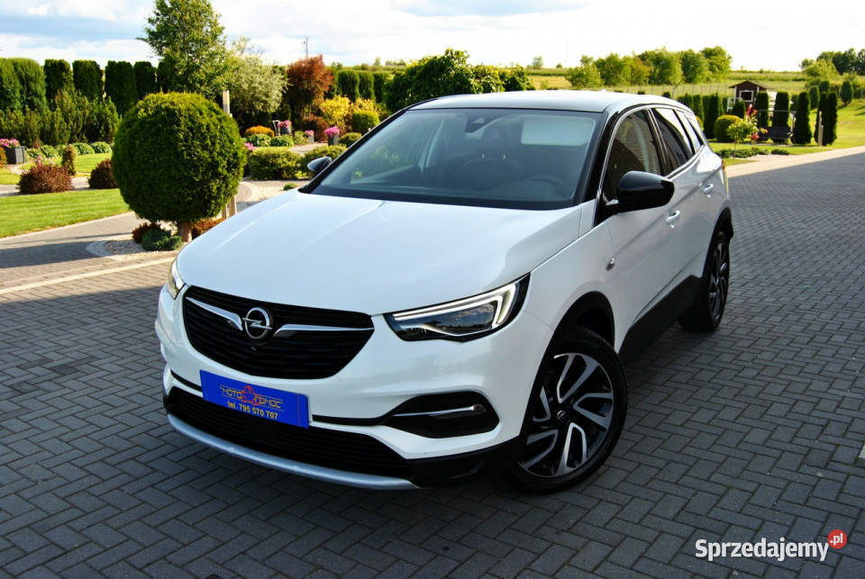 Opel Grandland X NAVICarPlayAndroidAuto Oryginał elektrochrom. lusterko wst.