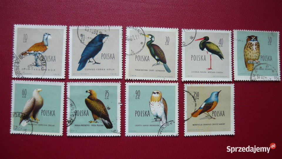 Znaczki Ptaki chronione Myszków