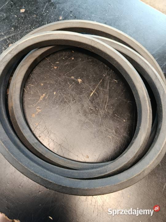 Pas 6531210 Tagex Pozostałe Biłgoraj sprzedam
