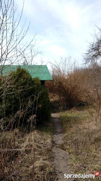 Ogródek działkowy Ostrowiec Świętokrzyski