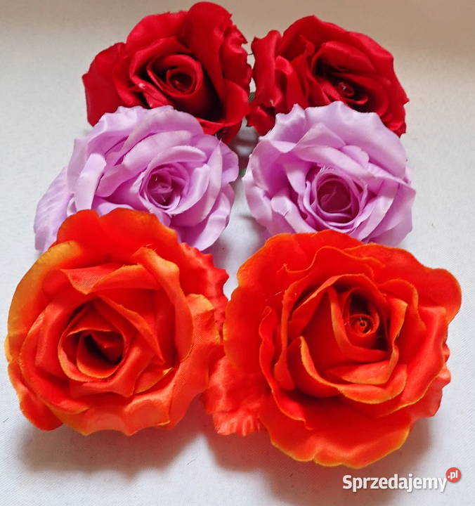 Róże rozwinięte różne kolory 1 śred 11 LA641 śląskie Siewierz sprzedam