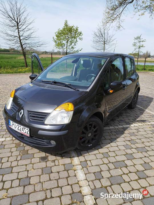 Renault Modus 15 dCi 2005 1461cm3 Puławy