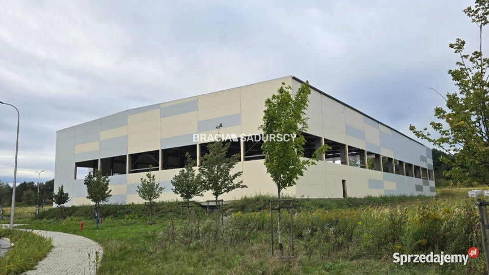 Lokal 4100m2 Kraków Igołomska dojazd asfaltowy