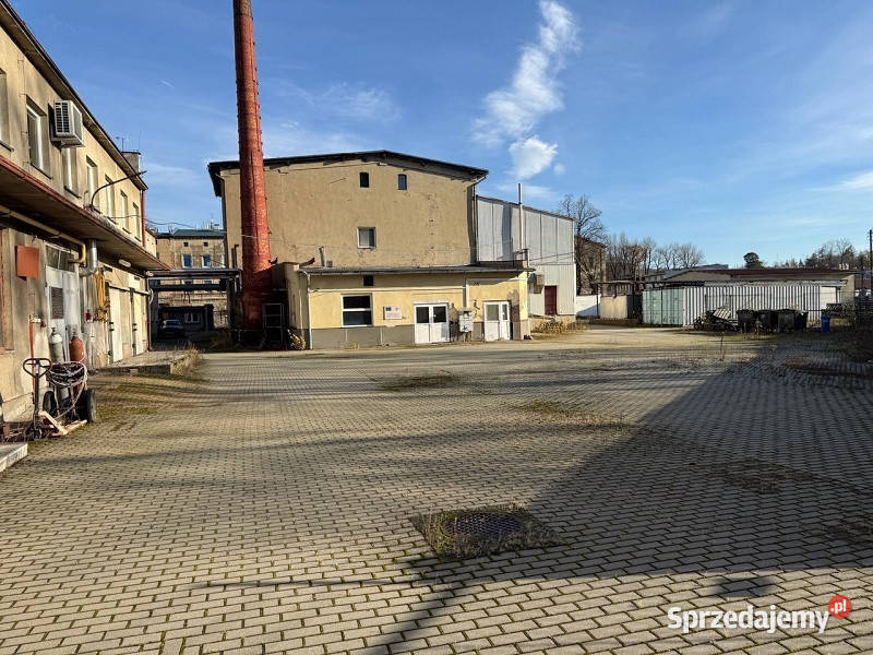 Syndyk sprzeda nieruchomości zabudowane w Prudnik