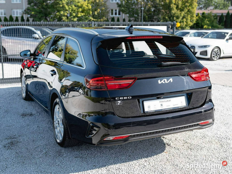 Kia Ceed WA5659H15 TGDI M DCT 2 stref klima Kcof Gdańsk