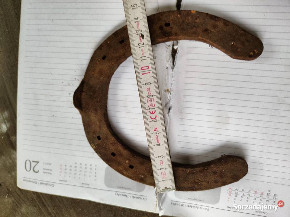 Podkowa pełna szczęścia Kalisz sprzedam