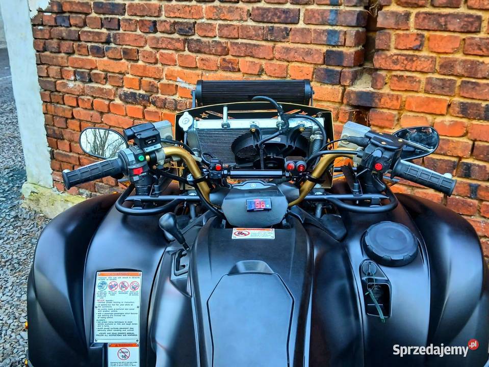 Yamaha Grizzly Limited Edition 700 nieuszkodzony Lubań