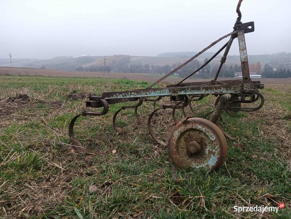 Siewniki zbożowe małopolskie Maciejowice