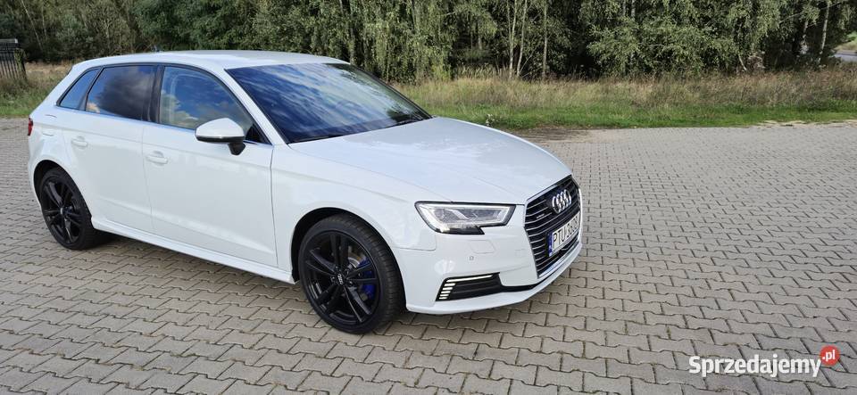 Audi A3 etron niski przebieg 41 wielkopolskie Turek