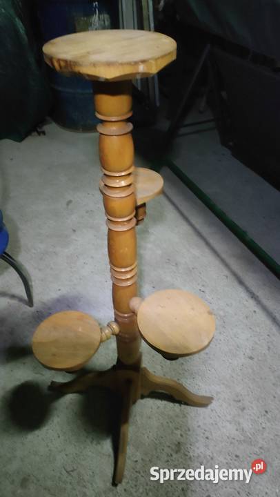 Kwietnik drewniany podkarpackie Góra Motyczna