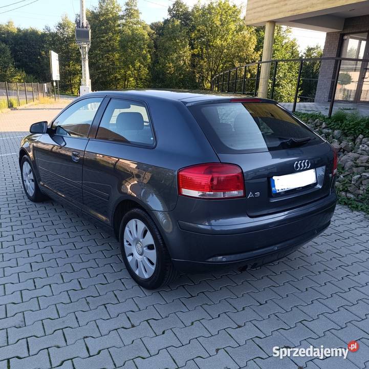 Audi A3 8P Automat LPG Benzyna 16 mpi 2004 250 A3 podkarpackie Jasło sprzedam