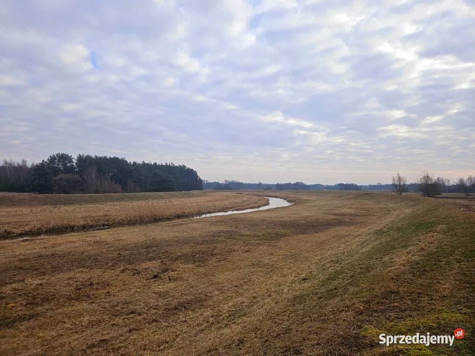 Siedlisko rzece Pilicy k Koniecpola 3200m2 Wąsosz
