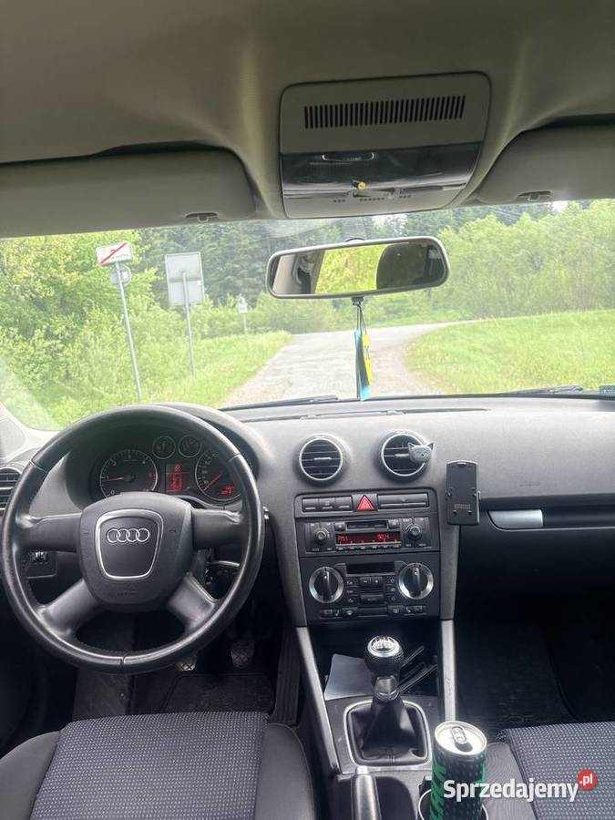Audi A3 8P 20 TDI quattro Motoryzacja Czystogarb
