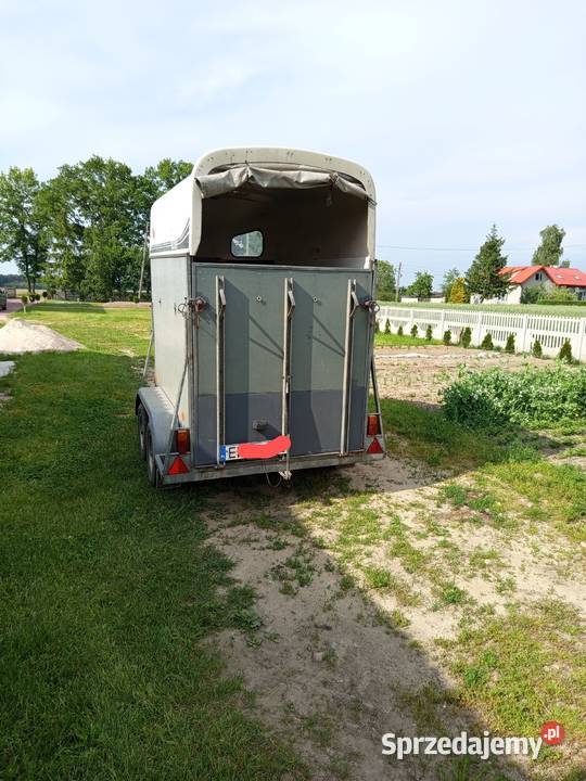 Przyczepka przyczepa bukmanka bydło konie Szynkielów