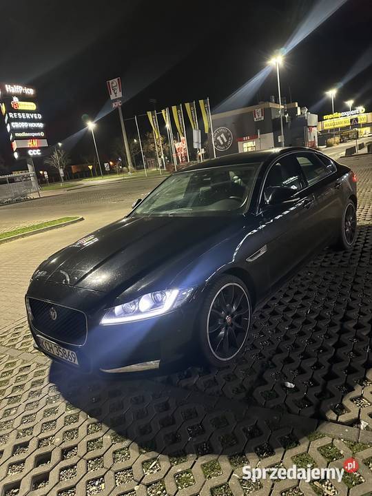 Jaguar XF X260 20d Automat 8 biegów Serwis łódzkie Kutno