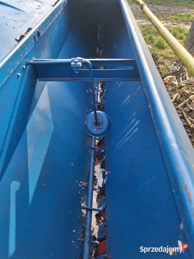 Siewnik poznaniak małopolskie Przeciszów