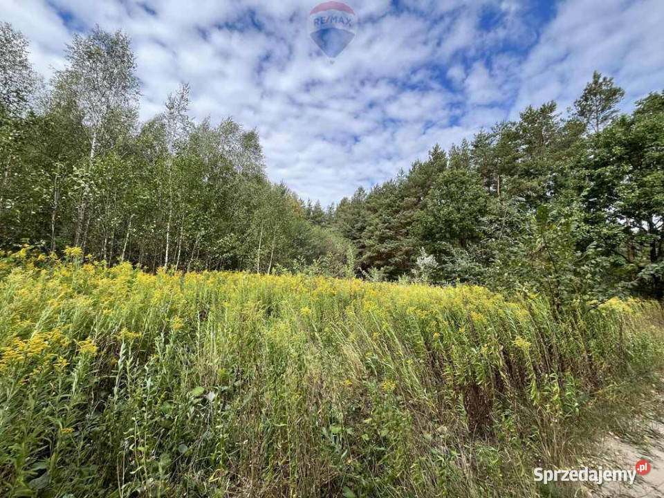Działka rolna z samosiejkami mazowieckie Pustelnik