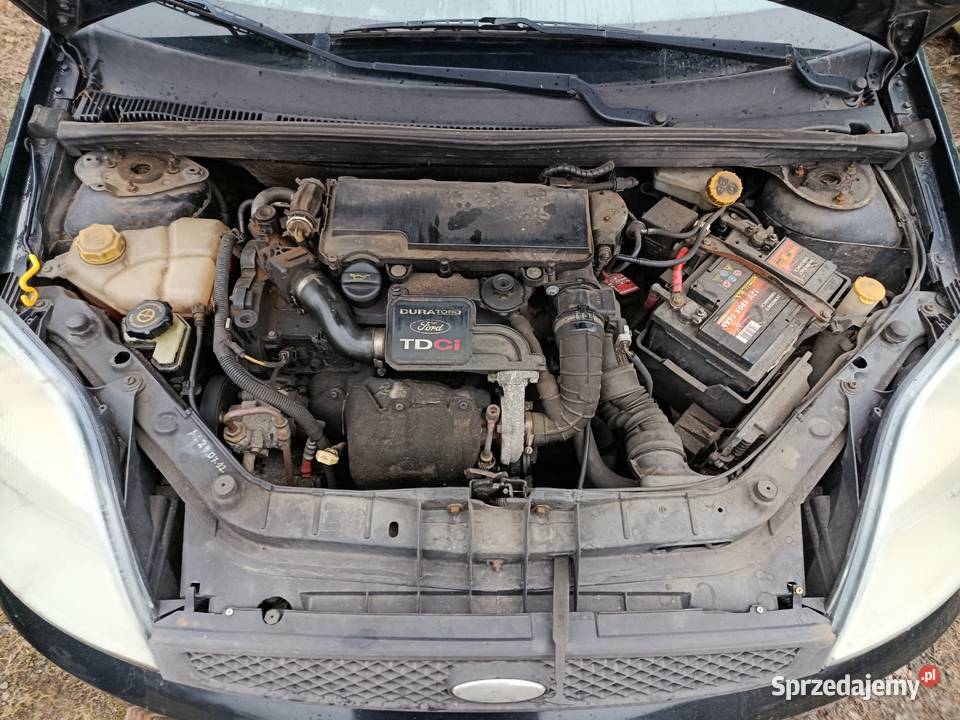 Ford Fiesta 14 TDCI 14 50 kW 2003 r dawca części wielkopolskie Szklarka Myślniewska