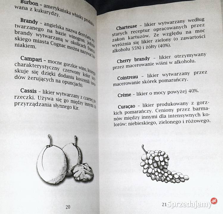 Drinki Andrzej Ziemiański Chełm sprzedam