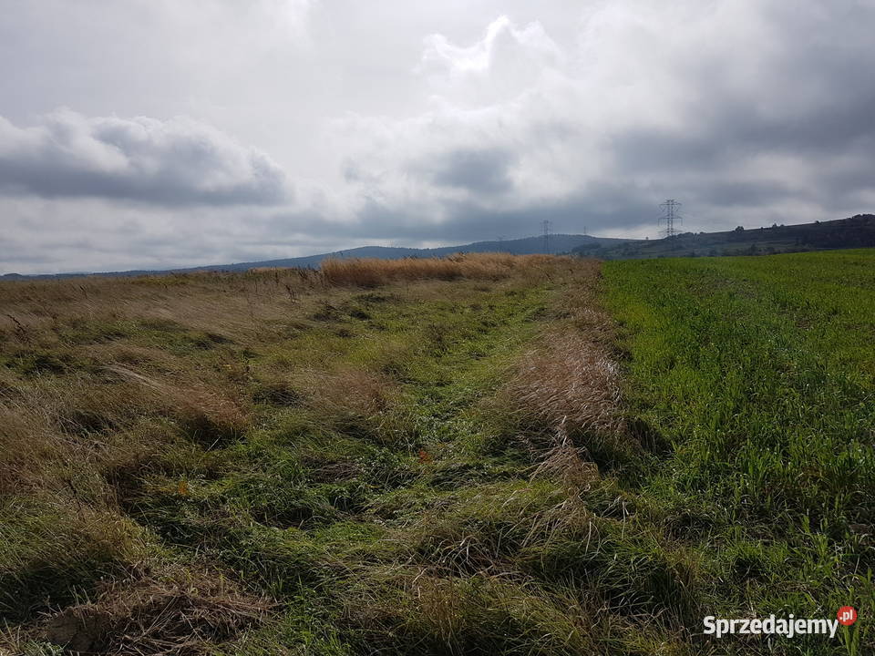 Sprzedam działkę widokową w Lubatowej 43 ary podkarpackie Krosno sprzedam