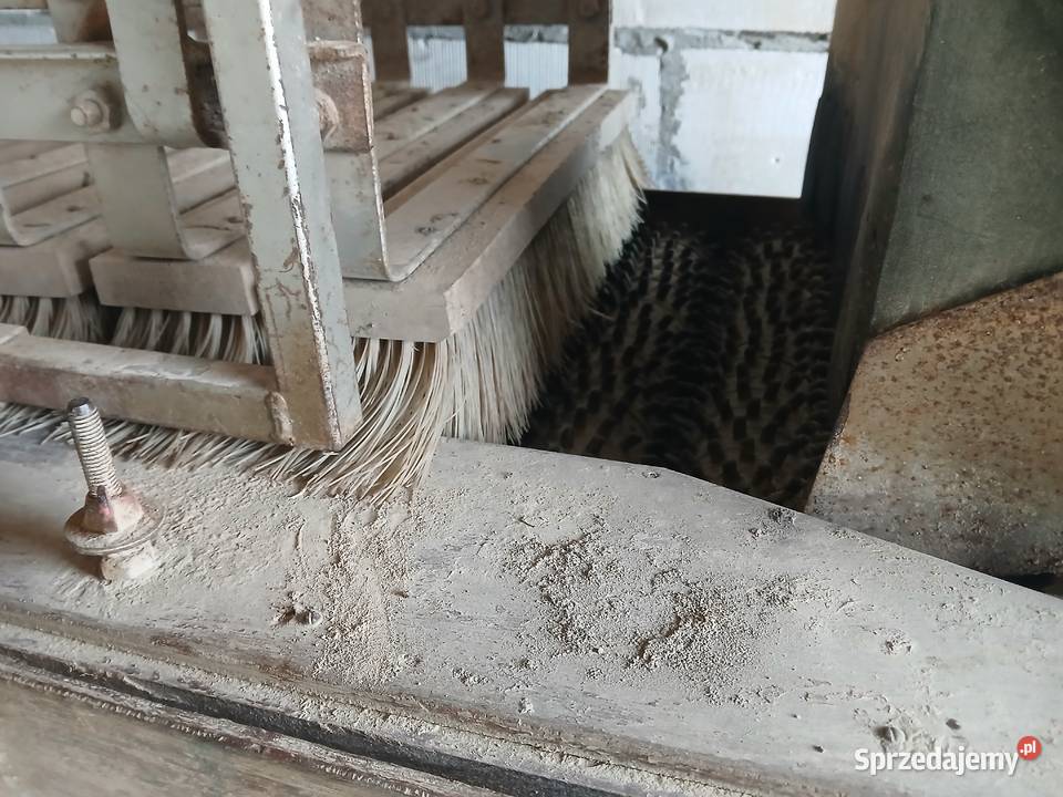 Sortownik do cebulek kwiatowych i innych Wojciechów-Kolonia Piąta