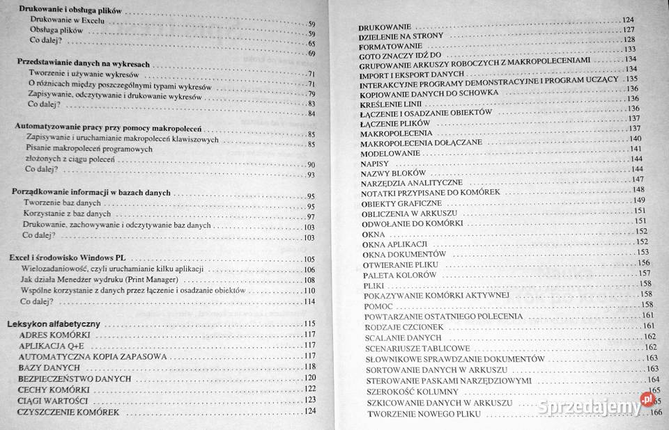 EXCEL 4 Windows Szybki start Stephen L Nelson Chełm