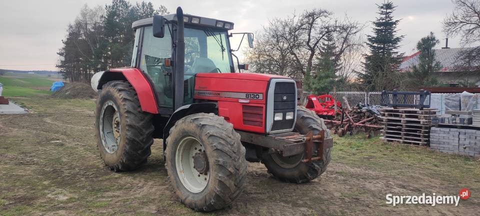 Massey Ferguson 8130 sprzedam