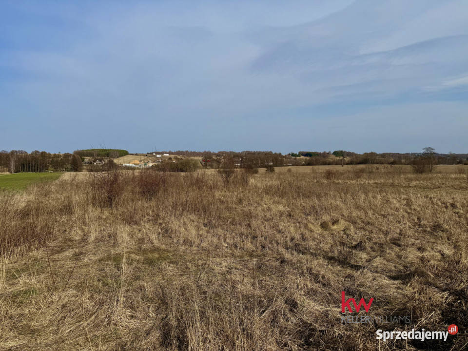 sprzedaży gruntu Rzeniszów 1133m2 sprzedam