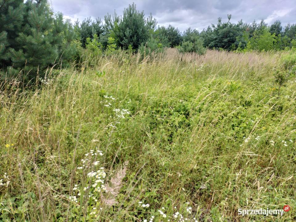 działka inwestycyjna Morawica