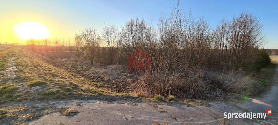 Grunt Dąbrowica 15000m2