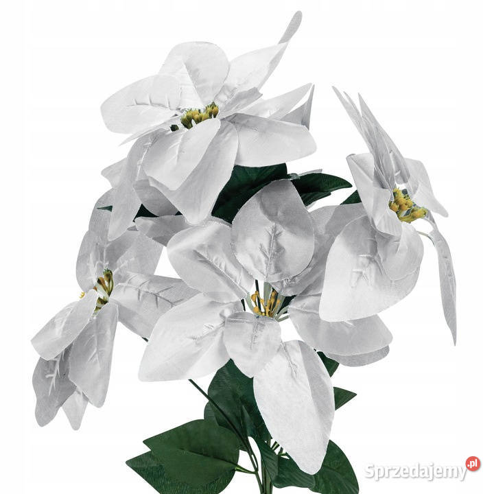 Kwiaty sztuczne GWIAZDA BETLEJEMSKA 45 Jasło sprzedam