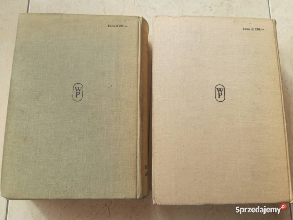 Wielki słownik angielsko polski polsko angielski Bielsko-Biała sprzedam