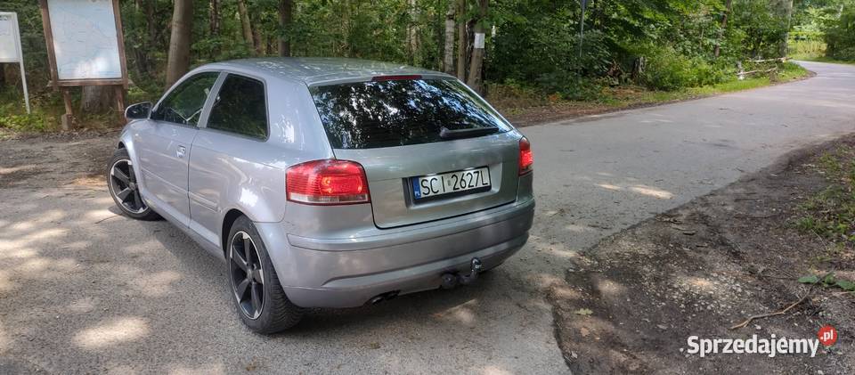 Audi A3 8P 19TDI 2005r Klima SprawnaŁadne